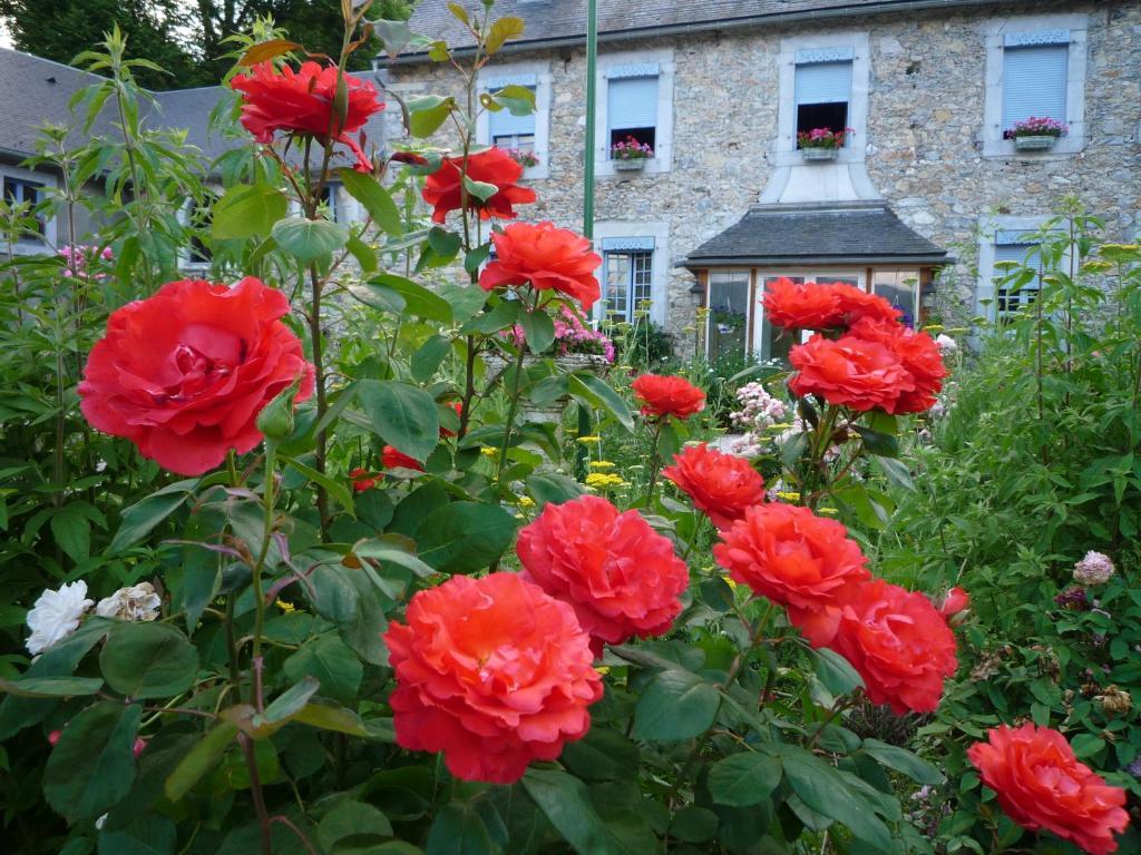 Domaine Vega Bed and Breakfast Saint-Arroman  Buitenkant foto