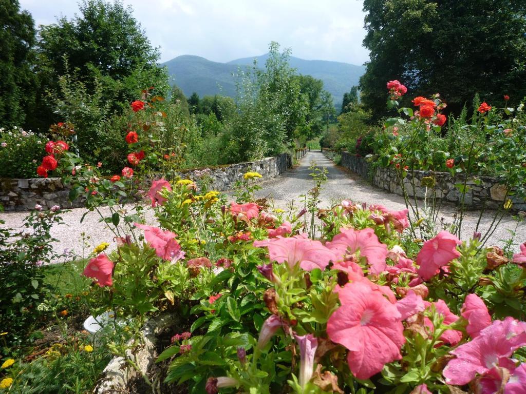 Domaine Vega Bed and Breakfast Saint-Arroman  Buitenkant foto